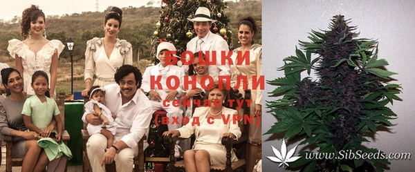 прущие крисы Белокуриха