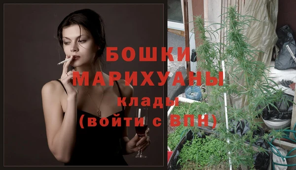прущие крисы Белокуриха
