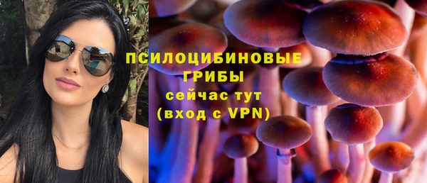 прущие крисы Белокуриха