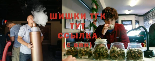 прущие крисы Белокуриха