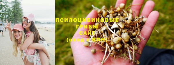 эйфоретик Беломорск